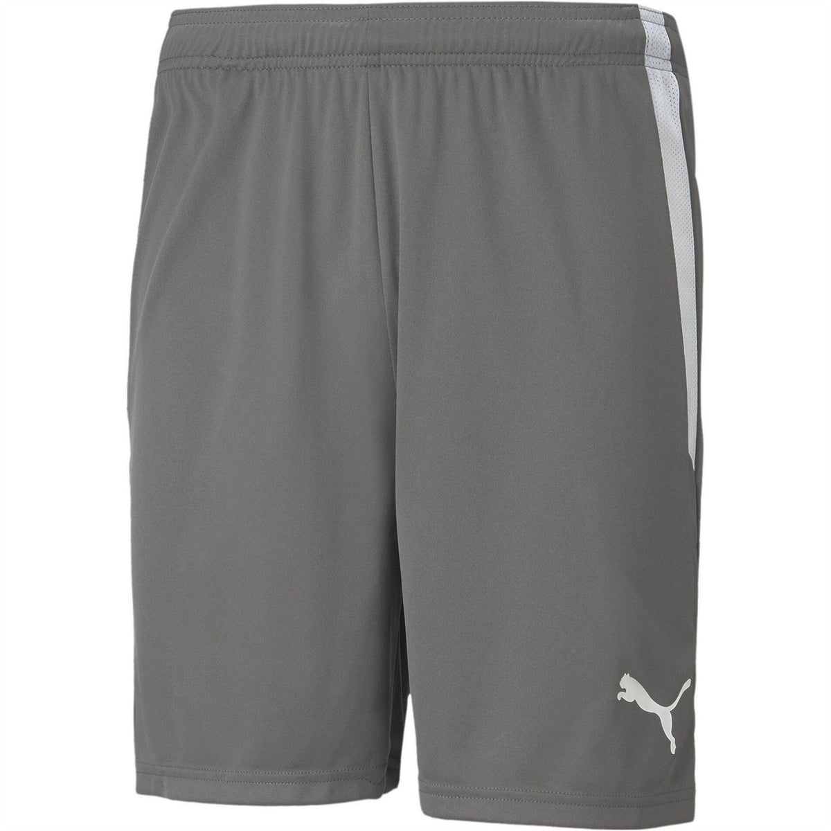 Smoke Blue-White - Front - Puma Mens TeamLIGA Side Stripe Football Shorts