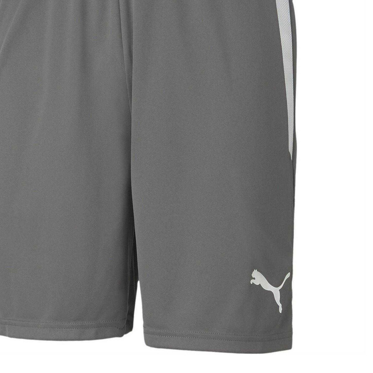 Smoke Blue-White - Side - Puma Mens TeamLIGA Side Stripe Football Shorts
