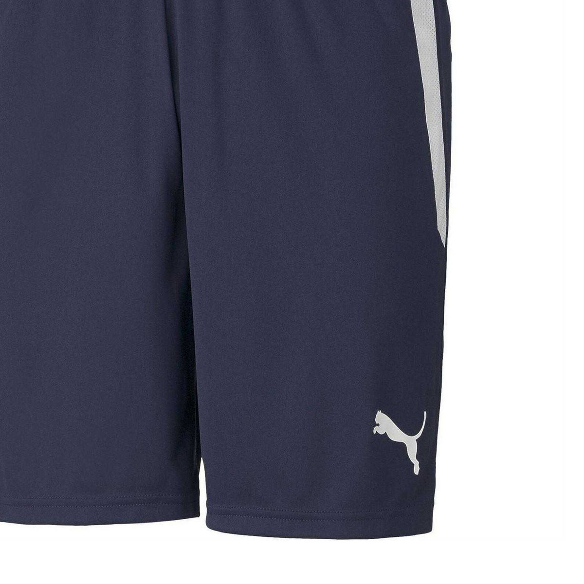 Peacoat Blue-White - Side - Puma Mens TeamLIGA Side Stripe Football Shorts