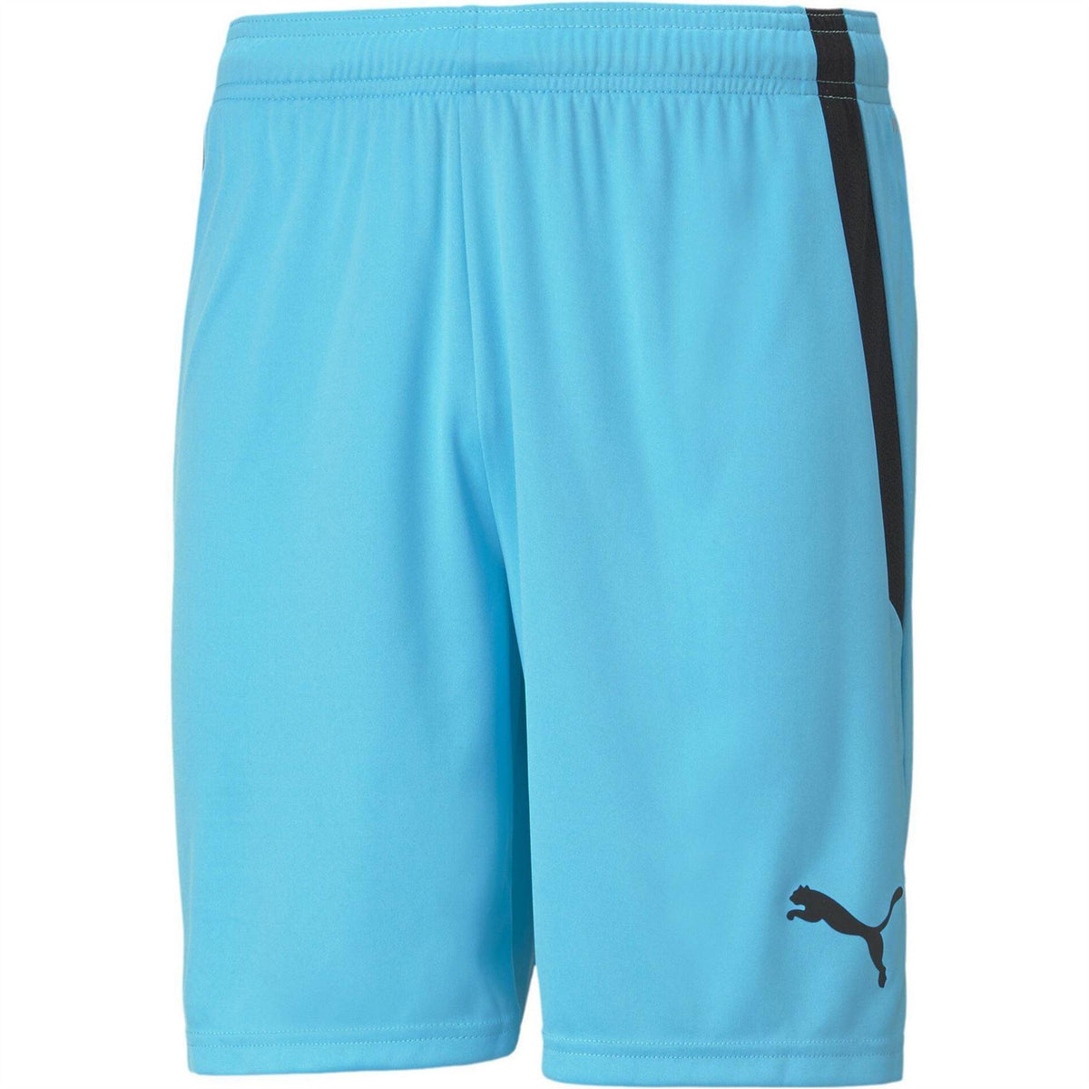 Blue-Black - Front - Puma Mens TeamLIGA Side Stripe Football Shorts