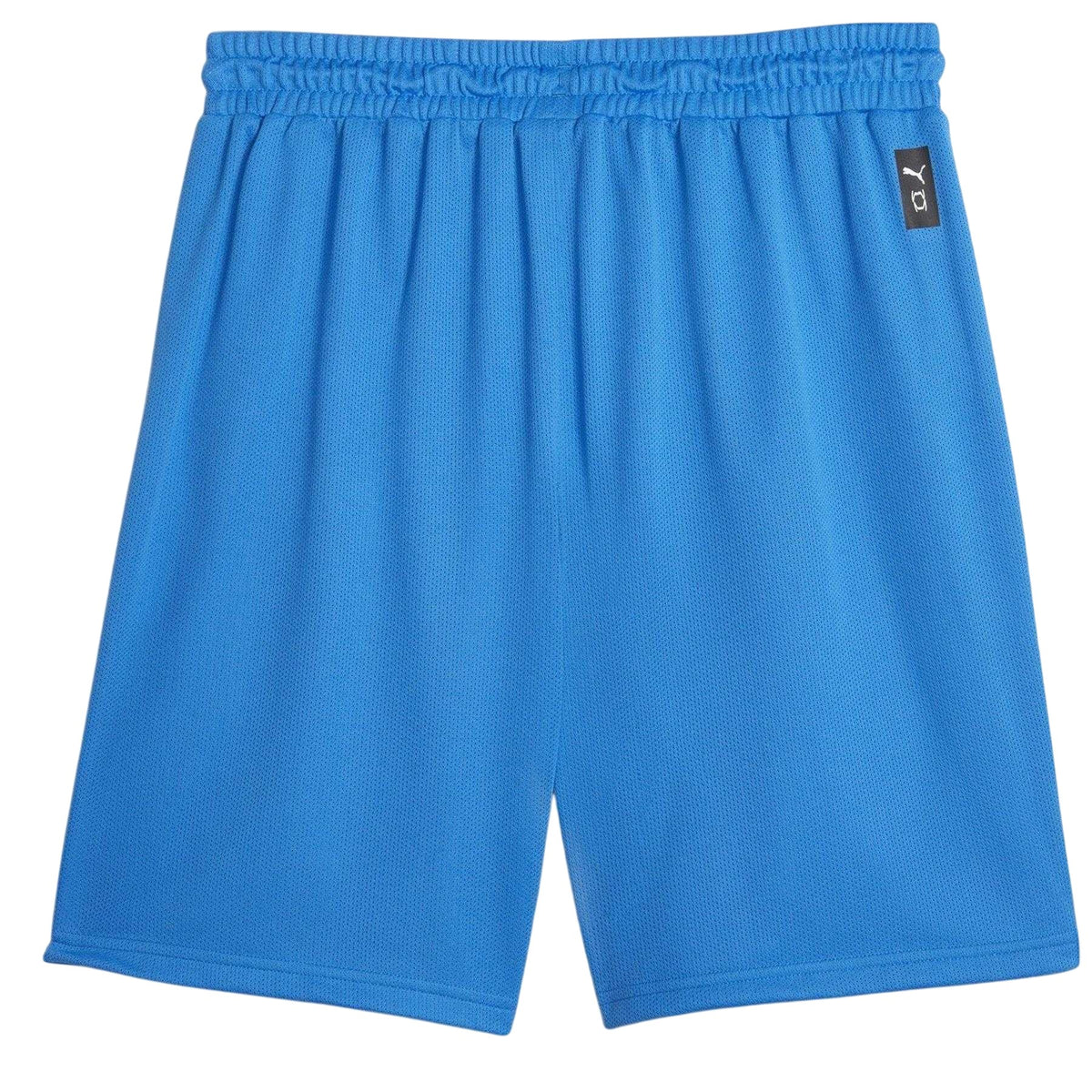 Electric Blue - Back - Puma Mens Team Basketball Shorts