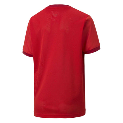 Chili Pepper Red - Back - Puma Childrens-Kids TeamGoal 23 Athletic Short-Sleeved T-Shirt