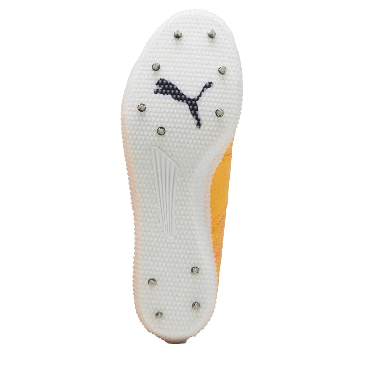 Sun Stream - Lifestyle - Puma Mens Evospeed Running Shoes