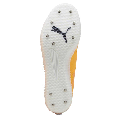 Sun Stream - Lifestyle - Puma Mens Evospeed Running Shoes