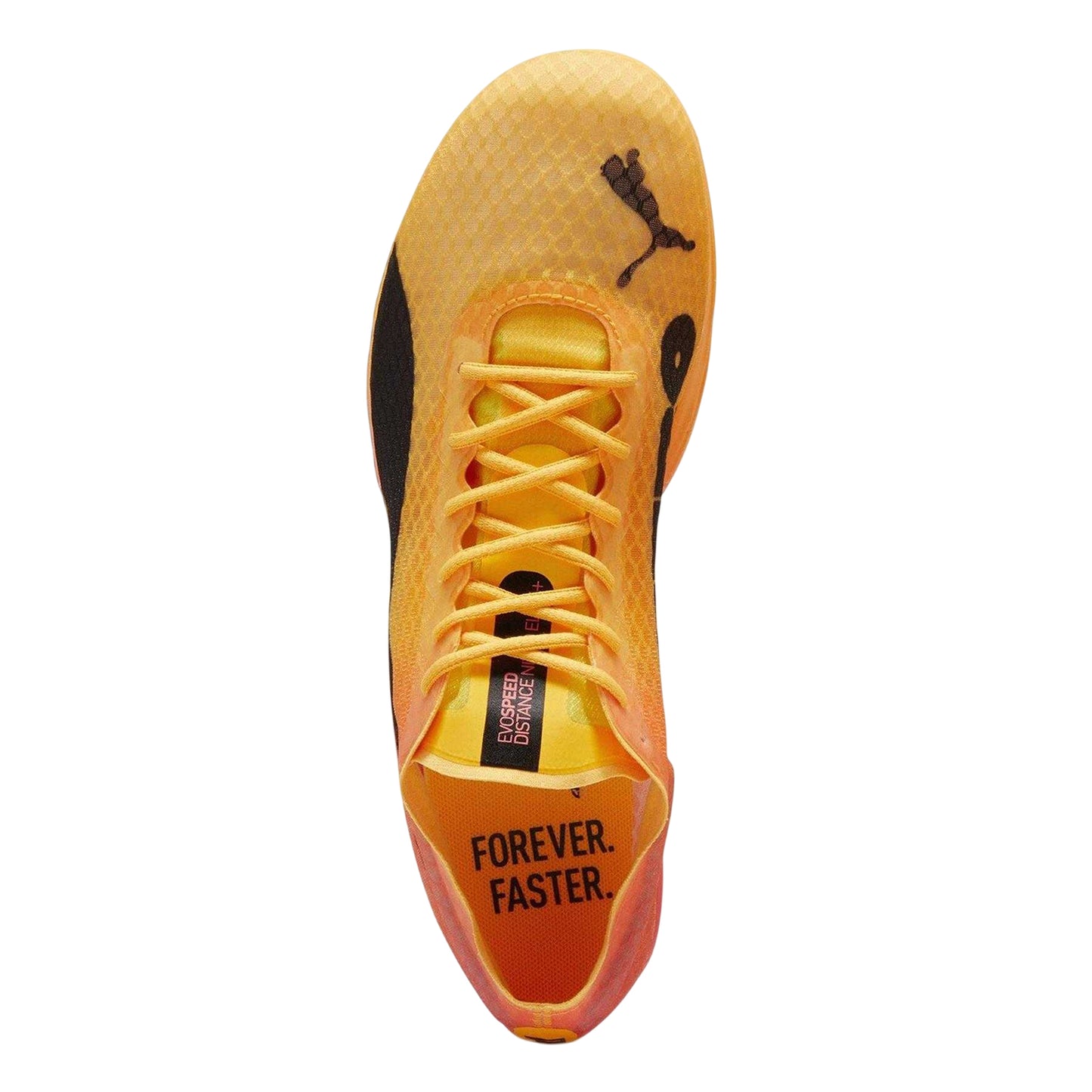 Sun Stream - Lifestyle - Puma Childrens-Kids Evospeed Distance Nitro E Running Shoes