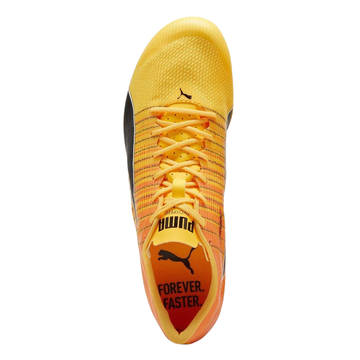 Sun Stream - Lifestyle - Puma Mens Evospeed Brush 6 Spiked Running Shoes