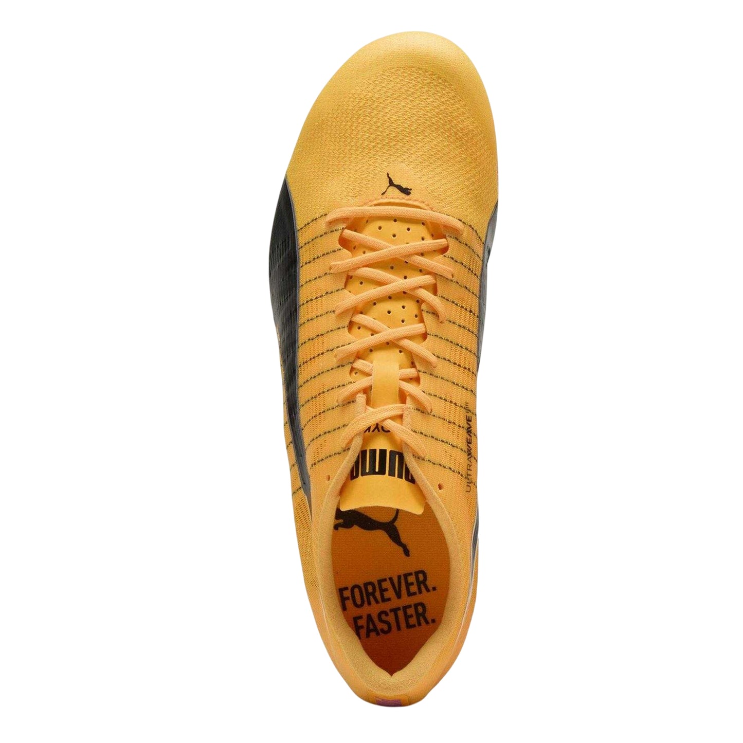 Sun Stream - Lifestyle - Puma Mens Evospeed Future 6 Spiked Running Shoes