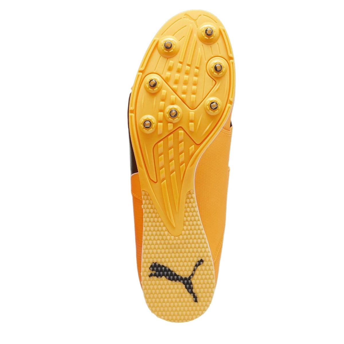Sun Stream - Back - Puma Unisex Adult Evospeed Running Shoes
