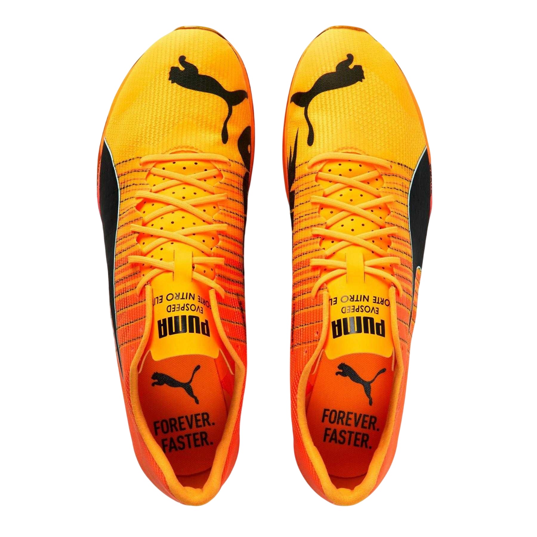 Sun Stream - Side - Puma Mens Evospeed Forte Nitro Elite Spiked Running Shoes