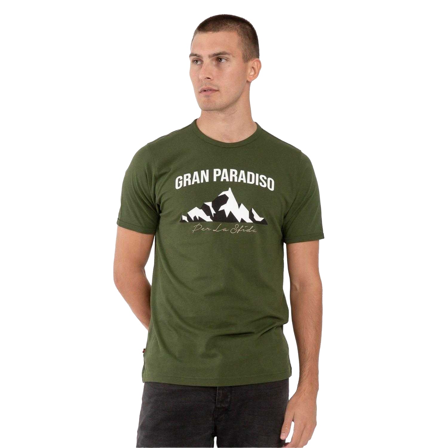 Green - Front - Luke 1977 Mens Arandano Printed T-Shirt