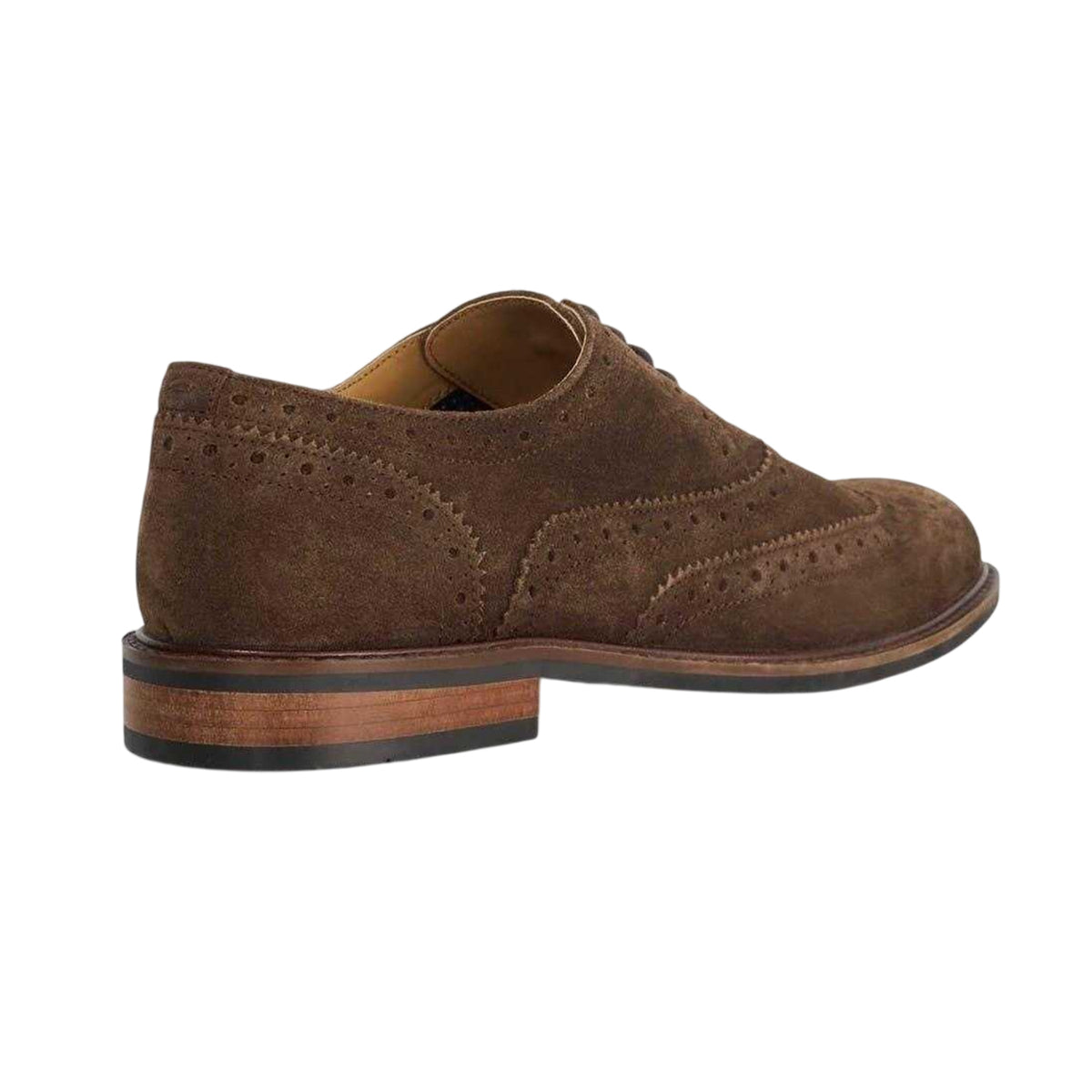Brown - Back - Dune London Mens Baltics Suede Brogues