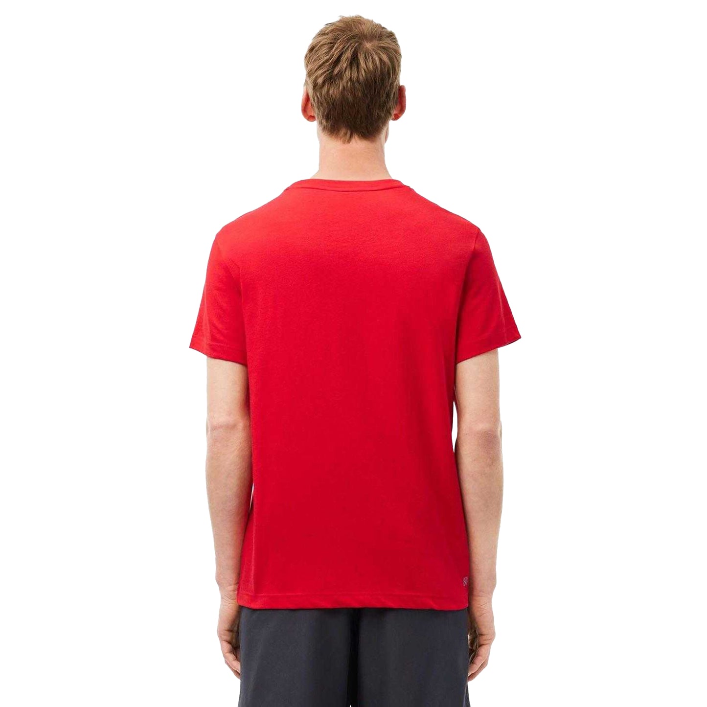 Red-Blue - Back - Lacoste Mens Cotton Ultra Dry T-Shirt