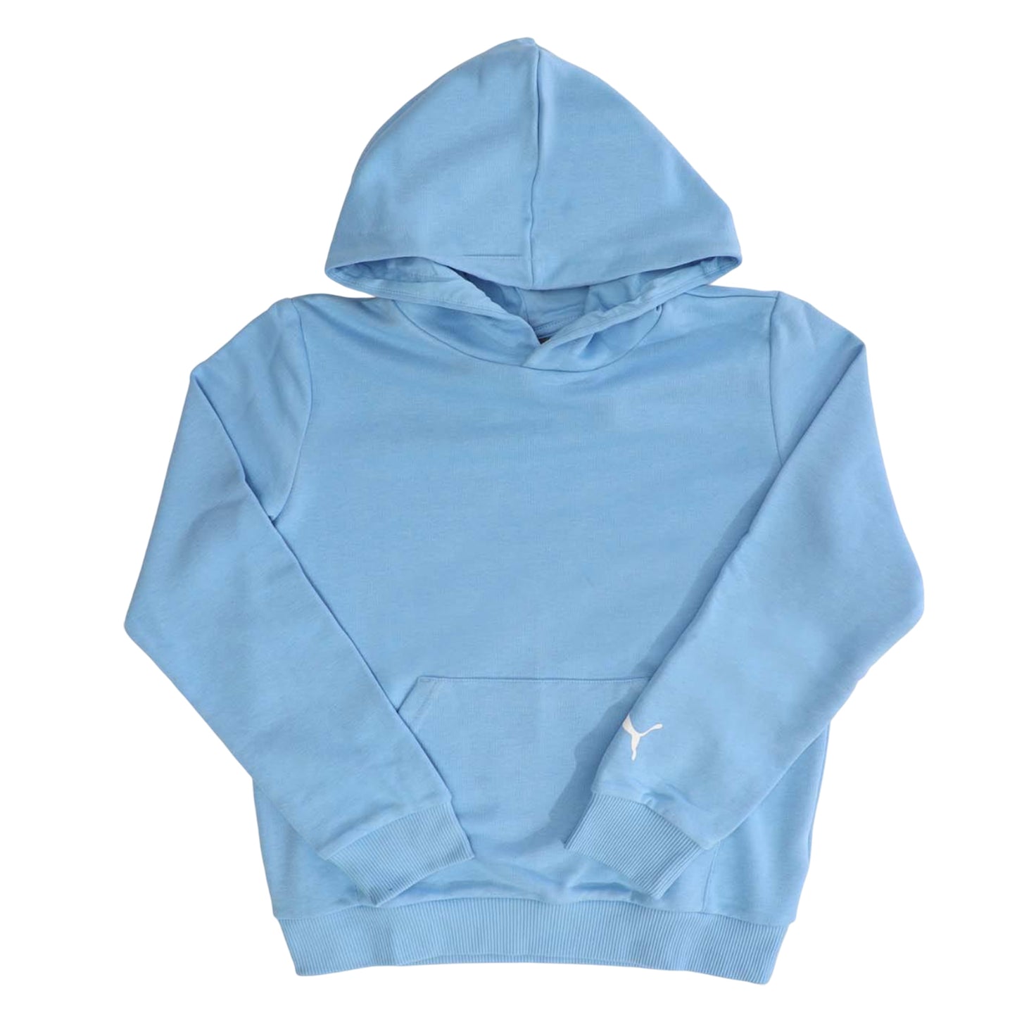 Blue - Front - Puma Childrens-Kids Fanwear Hoodie