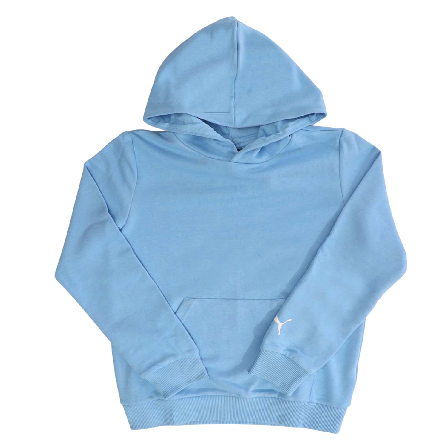 Blue - Front - Puma Childrens-Kids Fanwear Hoodie