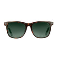 Havana - Front - Thomas Sabo Marlon Sunglasses