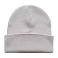 Grey - Back - Back To The Future Unisex Adult Logo Beanie