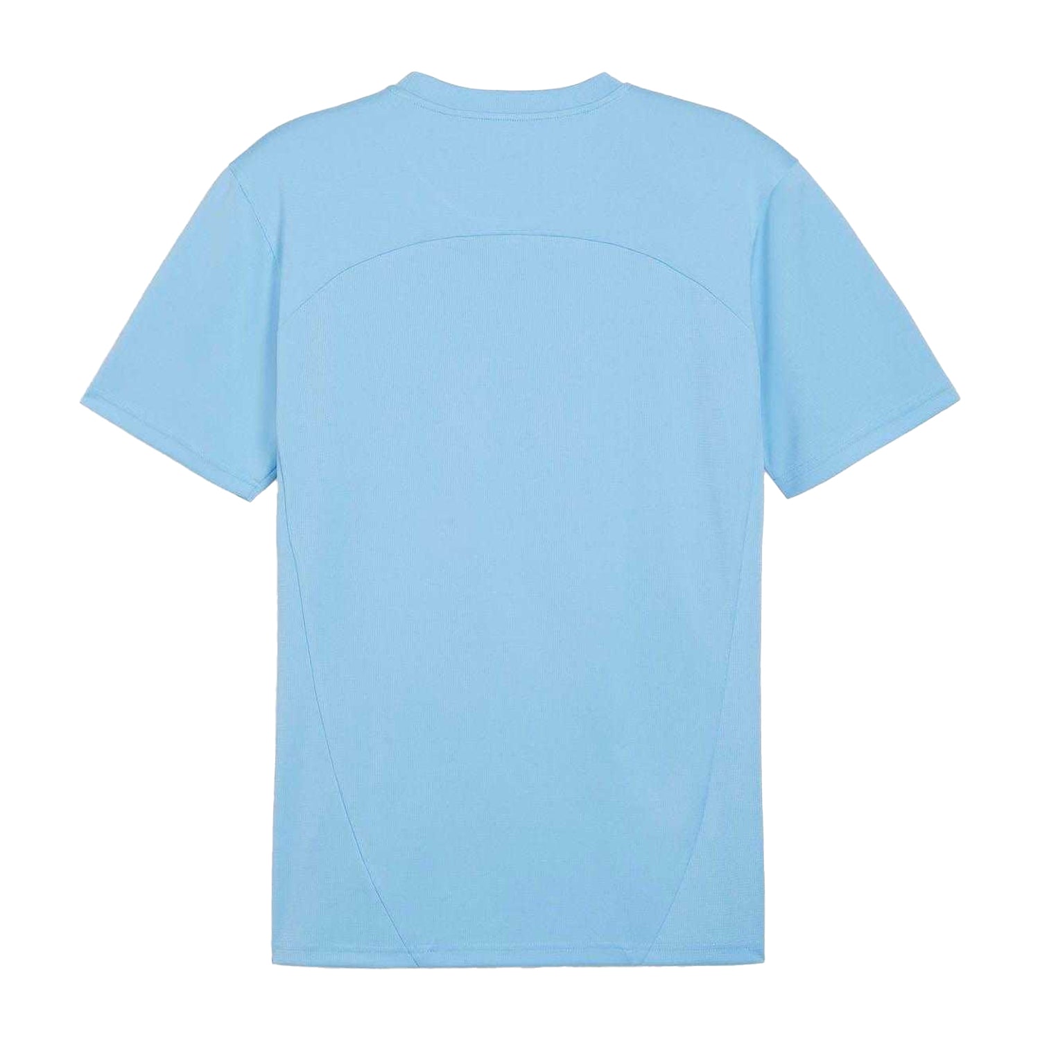 Blue - Back - Puma Mens TeamFinal Training Jersey