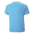 Blue - Back - Puma Childrens-Kids TeamULTIMATE Jersey
