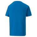 Blue - Back - Puma Childrens-Kids TeamGoal 23 Casuals T-Shirt