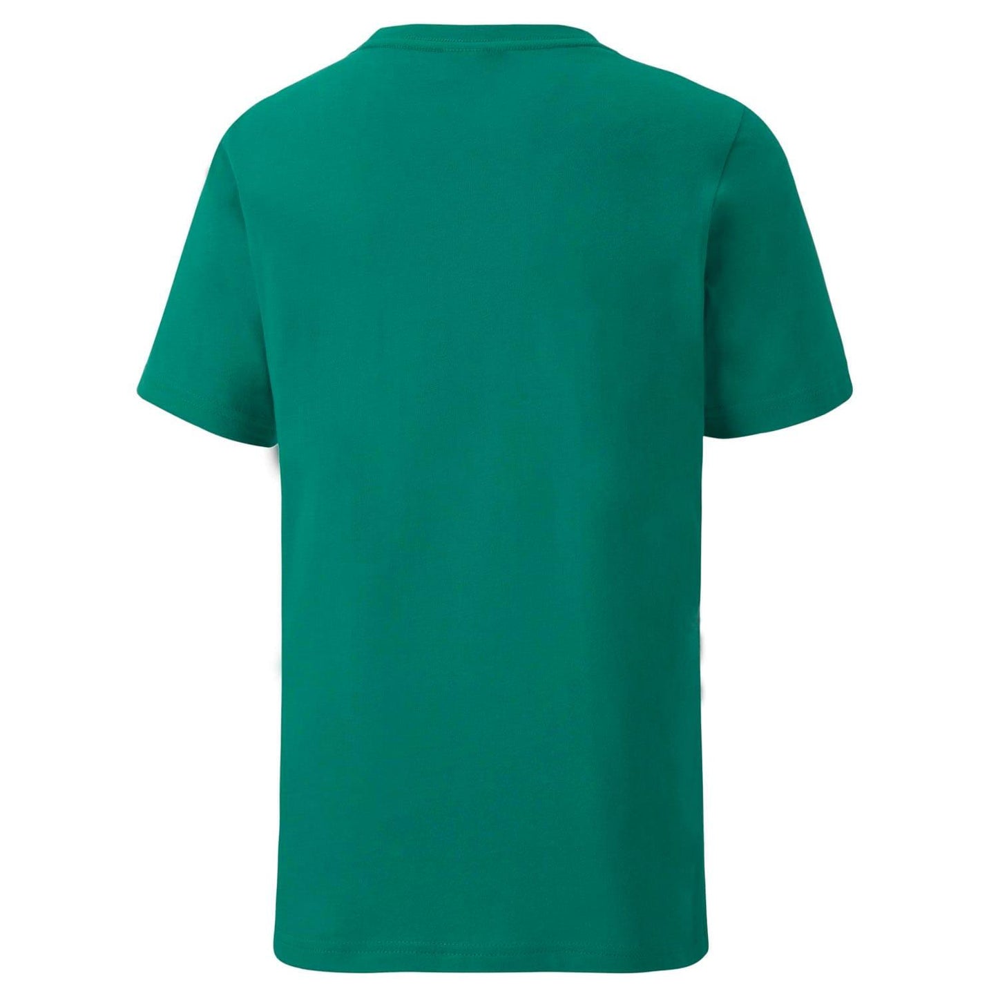 Green - Back - Puma Childrens-Kids TeamGoal 23 Casuals T-Shirt