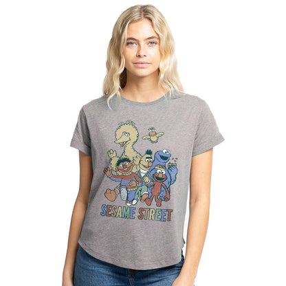 Grey - Front - Sesame Street Womens-Ladies Colourful Group Characters T-Shirt