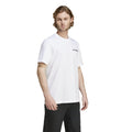 White - Pack Shot - Adidas Mens Terrex Mountain Graphic T-Shirt