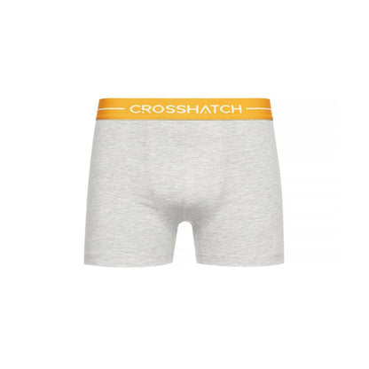 Grey - Pack Shot - Crosshatch Mens Astral Boxer Shorts (Pack of 12)