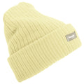 Cream - Front - Floso Womens-Ladies Rib Knit Thinsulate Winter Hat