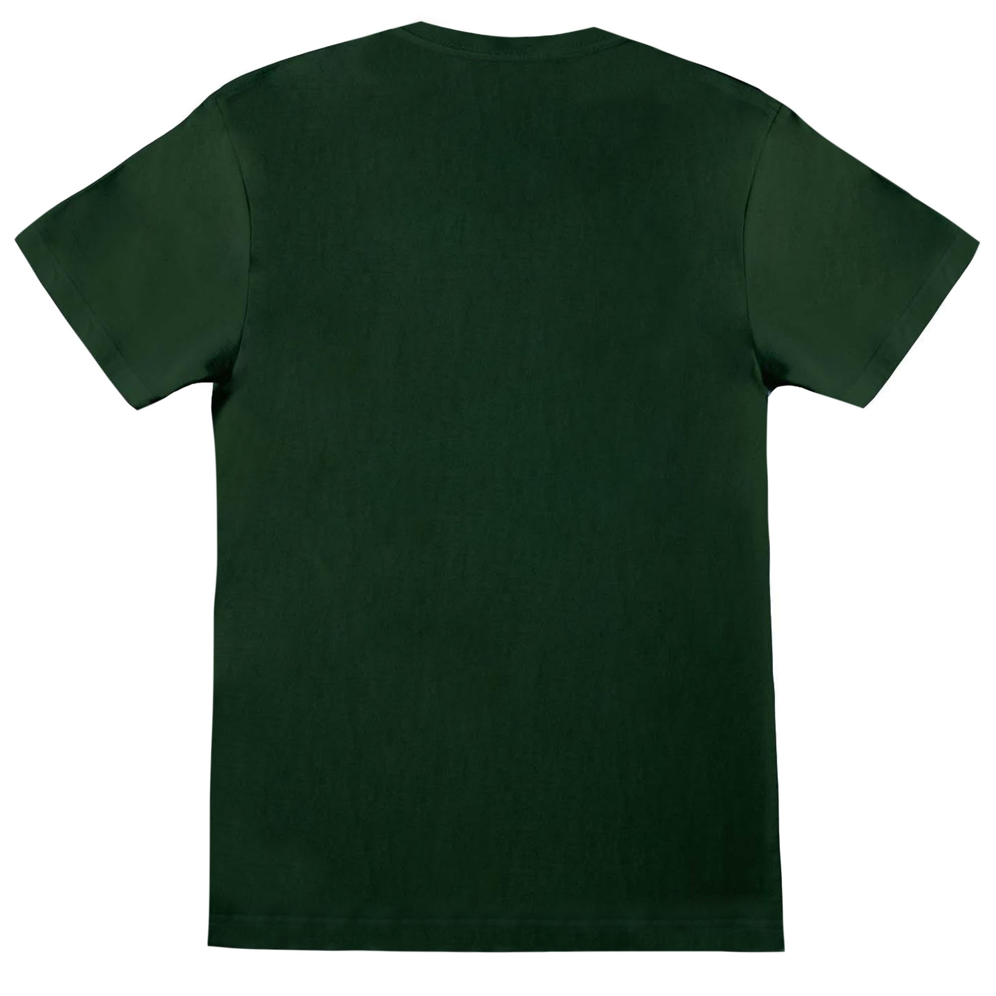 Green - Back - Legend Of Zelda Mens Link Pose T-Shirt