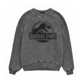 Black - Front - Jurassic Park Unisex Adult Spray Logo Sweatshirt