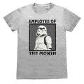 Grey Heather - Front - Star Wars Unisex Adult Employee Of The Month Stormtrooper T-Shirt
