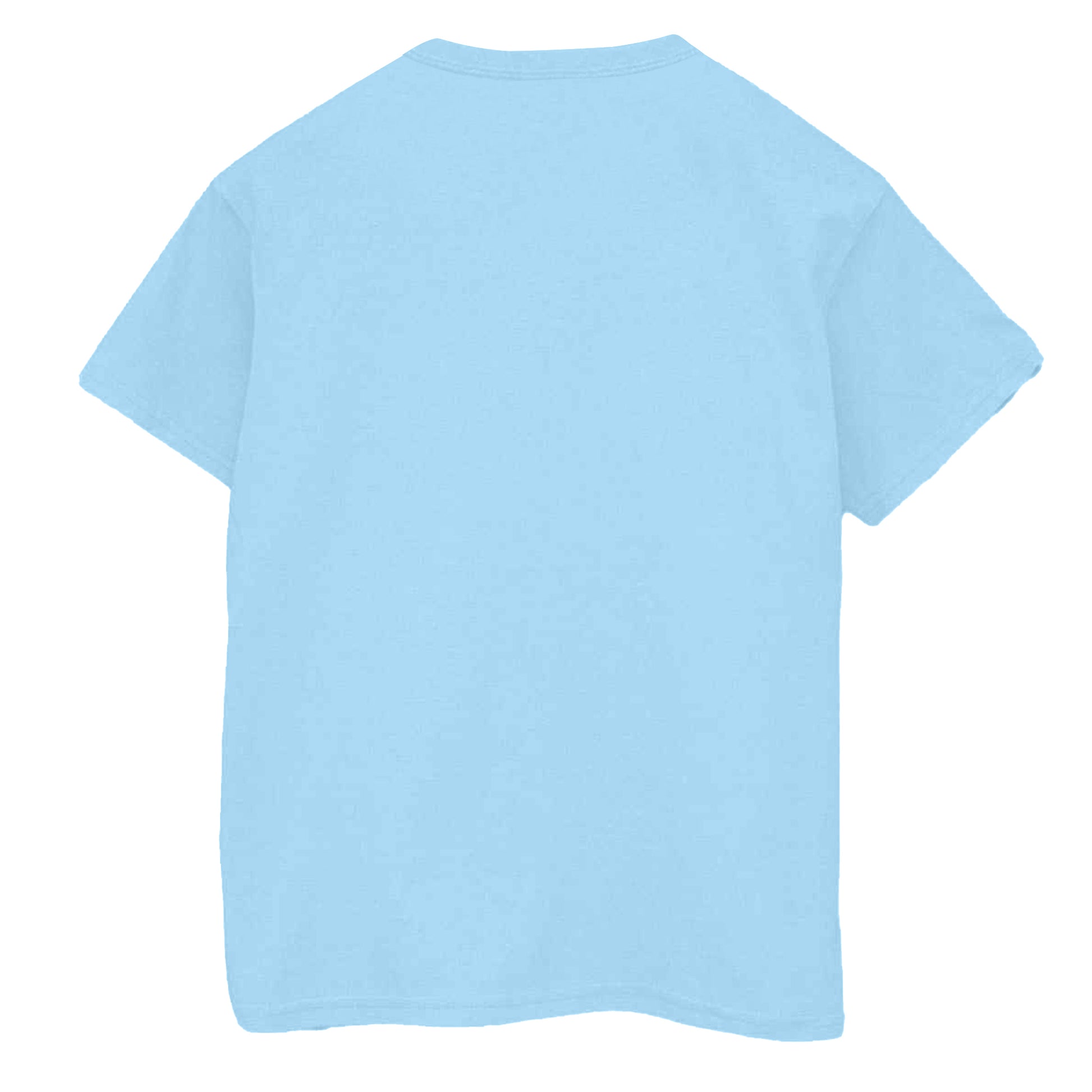 Blue - Back - Led Zeppelin Unisex Adult 1975 North American Tour T-Shirt