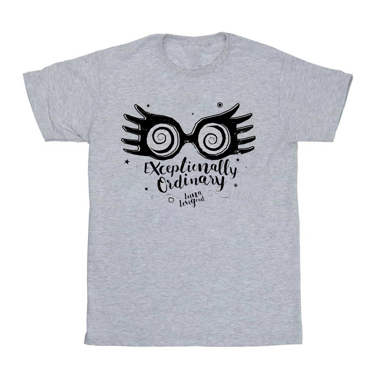 Heather Grey - Front - Harry Potter Unisex Adult Exceptionally Ordinary T-Shirt