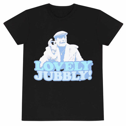 Black - Front - Only Fools And Horses Unisex Adult Lovely Jubbly T-Shirt