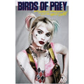 White - Back - Birds Of Prey Womens-Ladies Poster Fitted T-Shirt