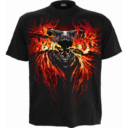 Black - Front - Game of Thrones Unisex Adult Fire And Blood T-Shirt