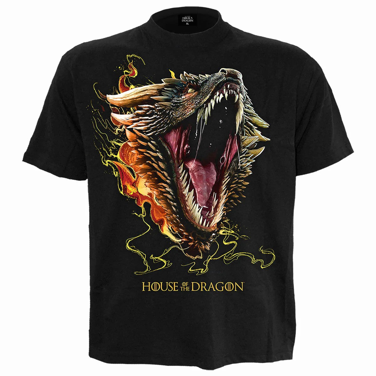Black - Front - Spiral Direct Unisex Adult Dragon Drogon House Of The Dragon T-Shirt