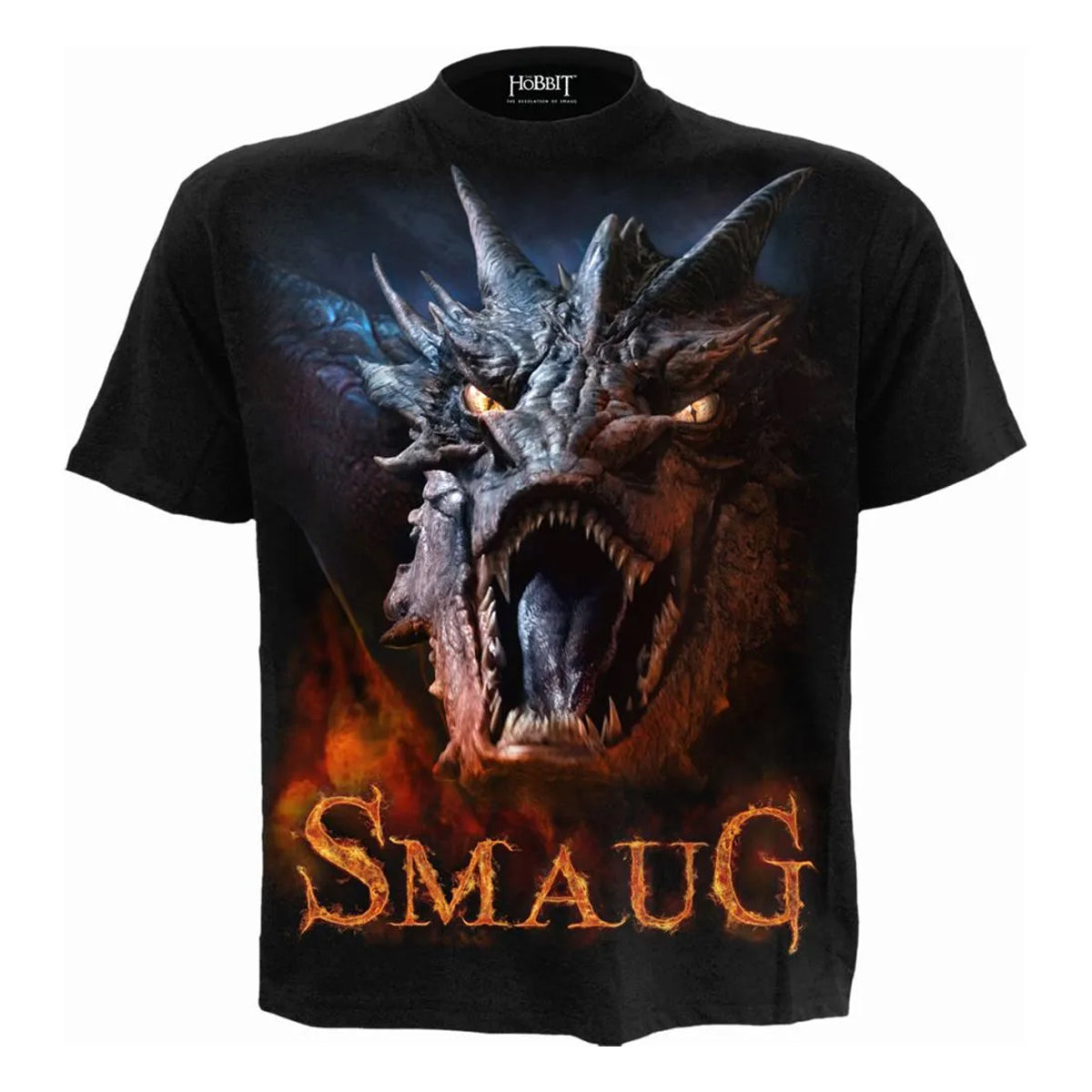 Black - Front - The Hobbit: The Desolation of Smaug Unisex Adult Back Print T-Shirt