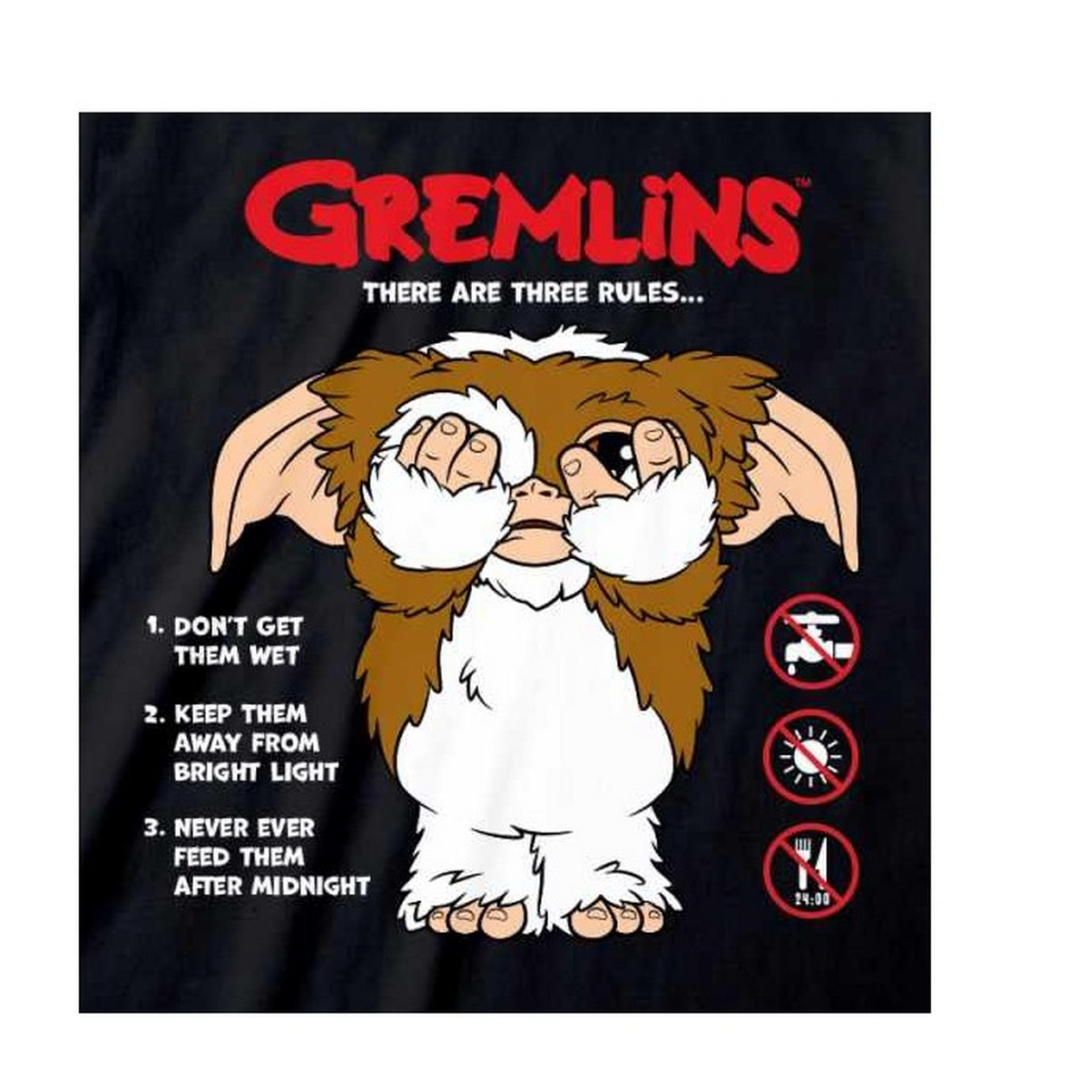 Black - Back - Gremlins Unisex Adult The Rules T-Shirt