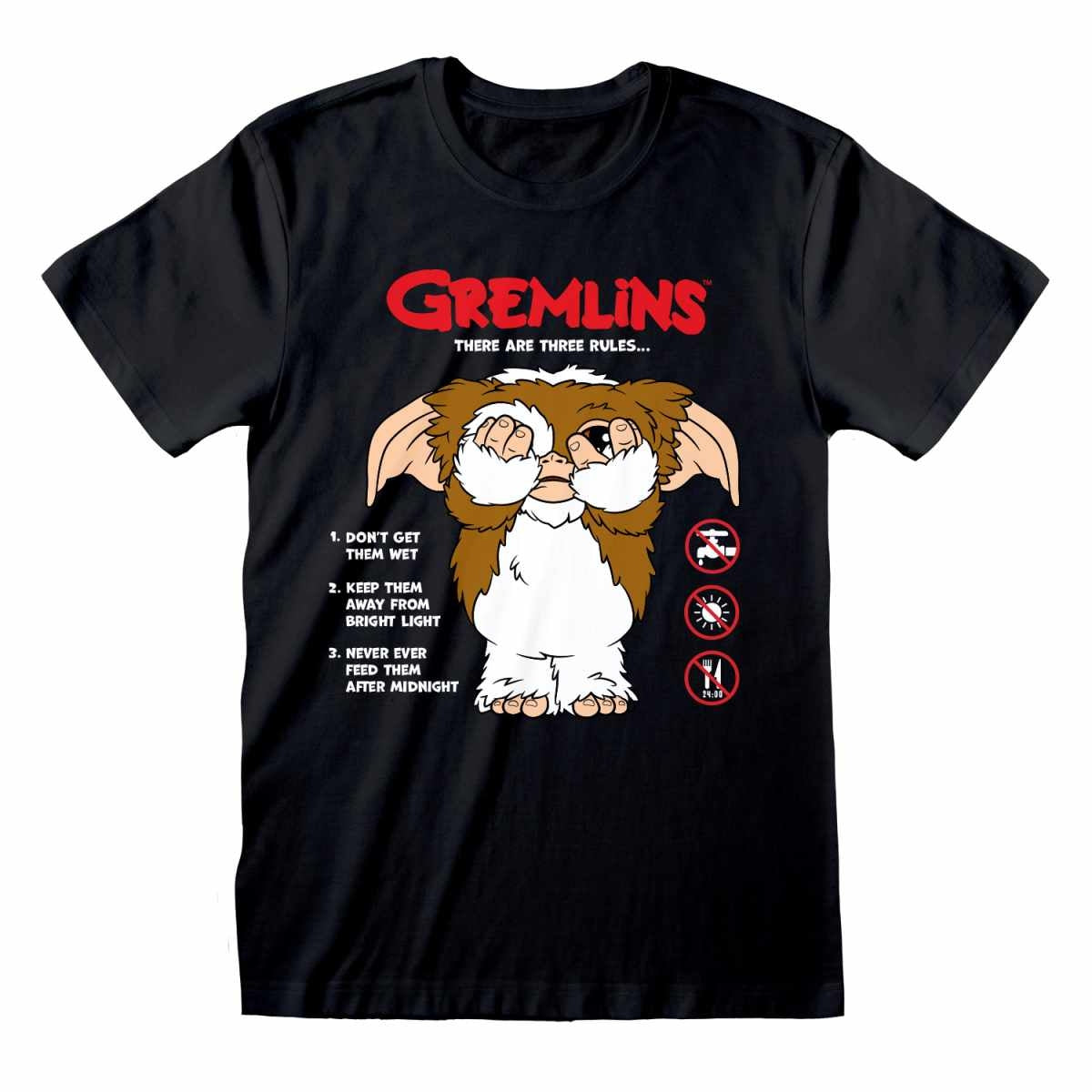 Black - Front - Gremlins Unisex Adult The Rules T-Shirt