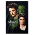 Black - Back - Twilight Unisex Adult Edward T-Shirt