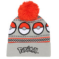 Grey - Front - Pokemon Pokeball Acrylic Beanie