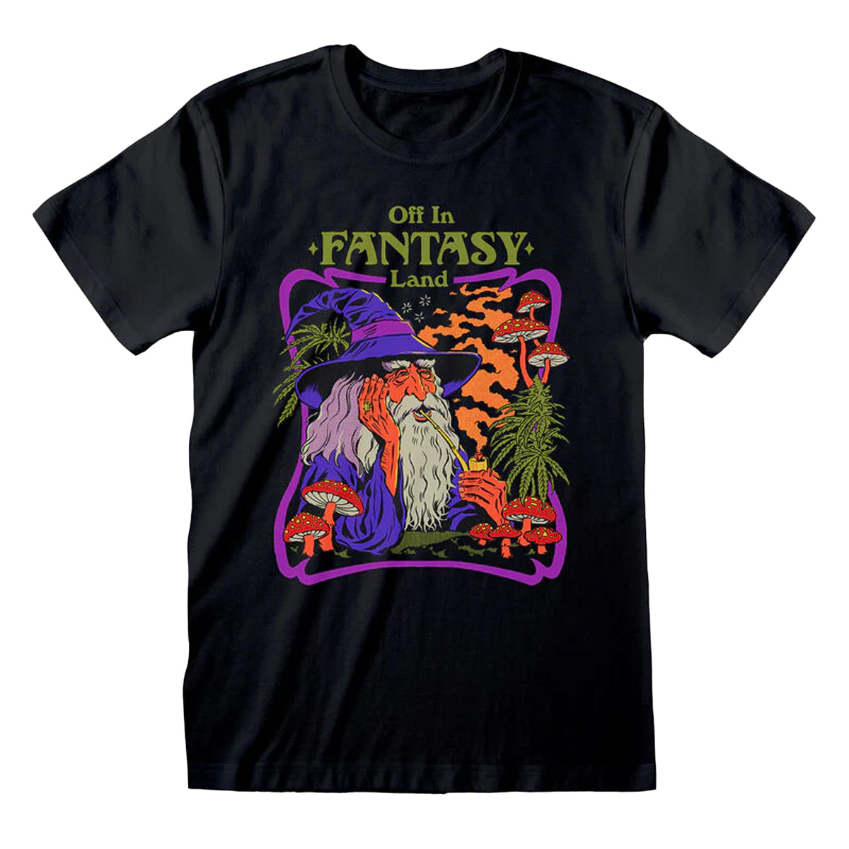Black - Front - Steven Rhodes Unisex Adult Fantasy Land T-Shirt