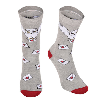 Grey-Maroon-White - Front - Harry Potter Unisex Adult Hedwig Hogwarts Letter Socks