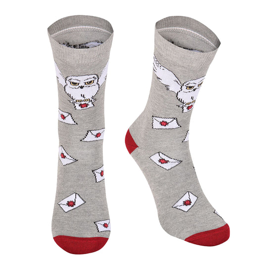 Grey-Maroon-White - Front - Harry Potter Unisex Adult Hedwig Hogwarts Letter Socks