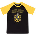 Black - Front - Harry Potter Unisex Adult Hufflepuff Raglan T-Shirt