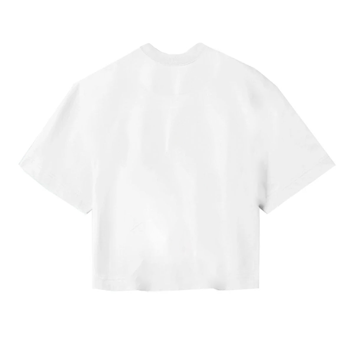 White - Back - Star Wars: The Mandalorian Womens-Ladies Sketch Crop T-Shirt