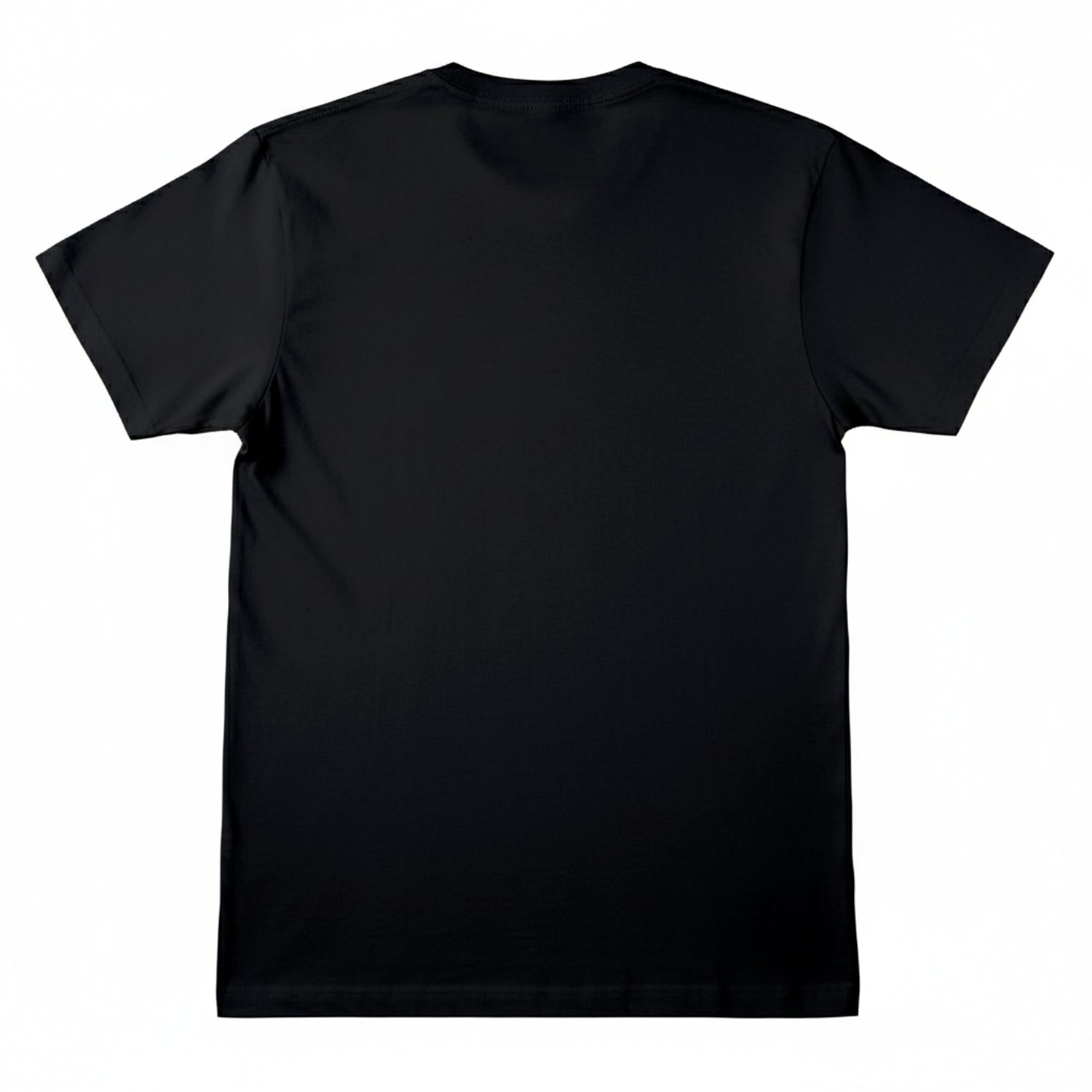 Black - Back - WWE Unisex Adult CM Punk Best In The World T-Shirt