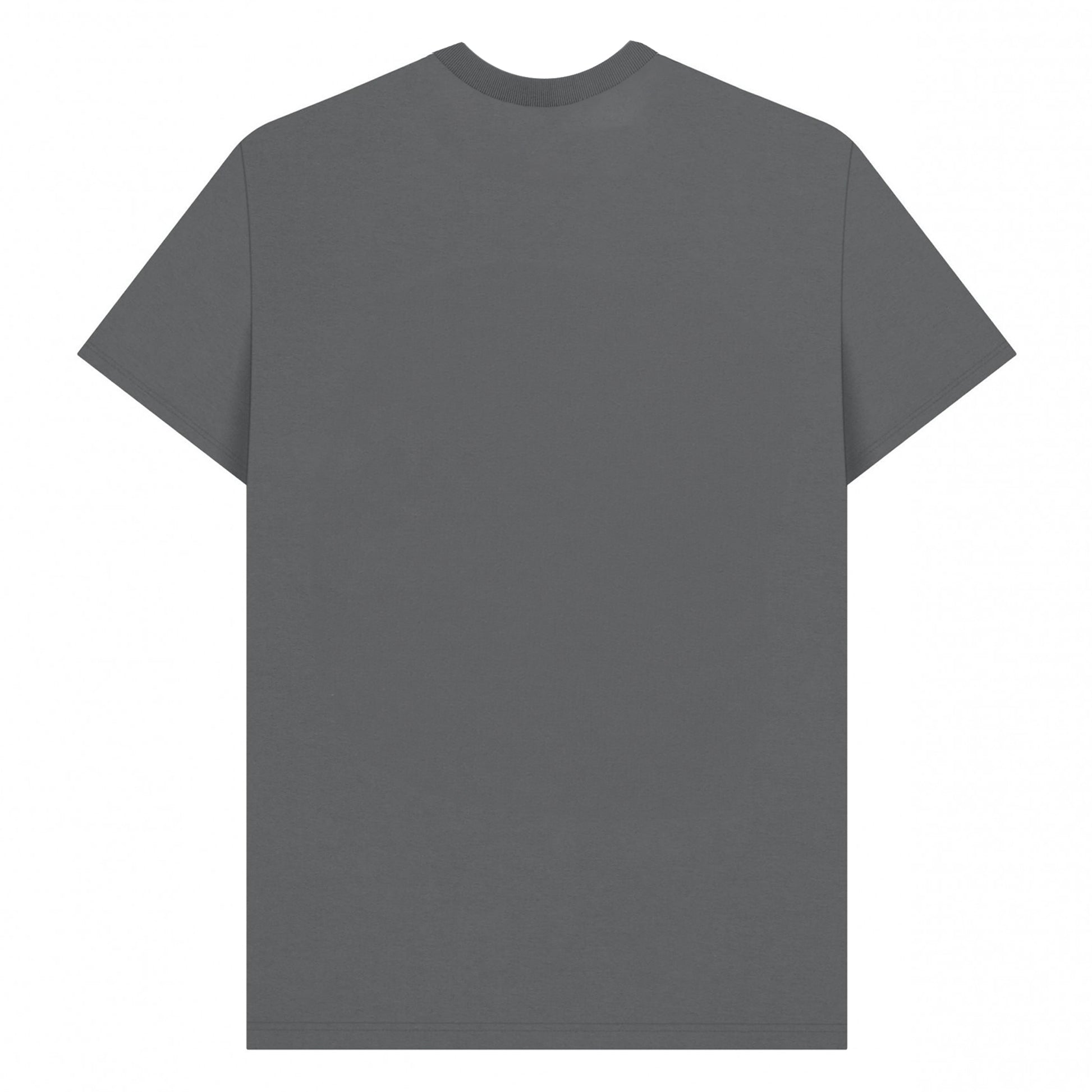 Light Graphite - Back - Charmed Unisex Adult Knock T-Shirt