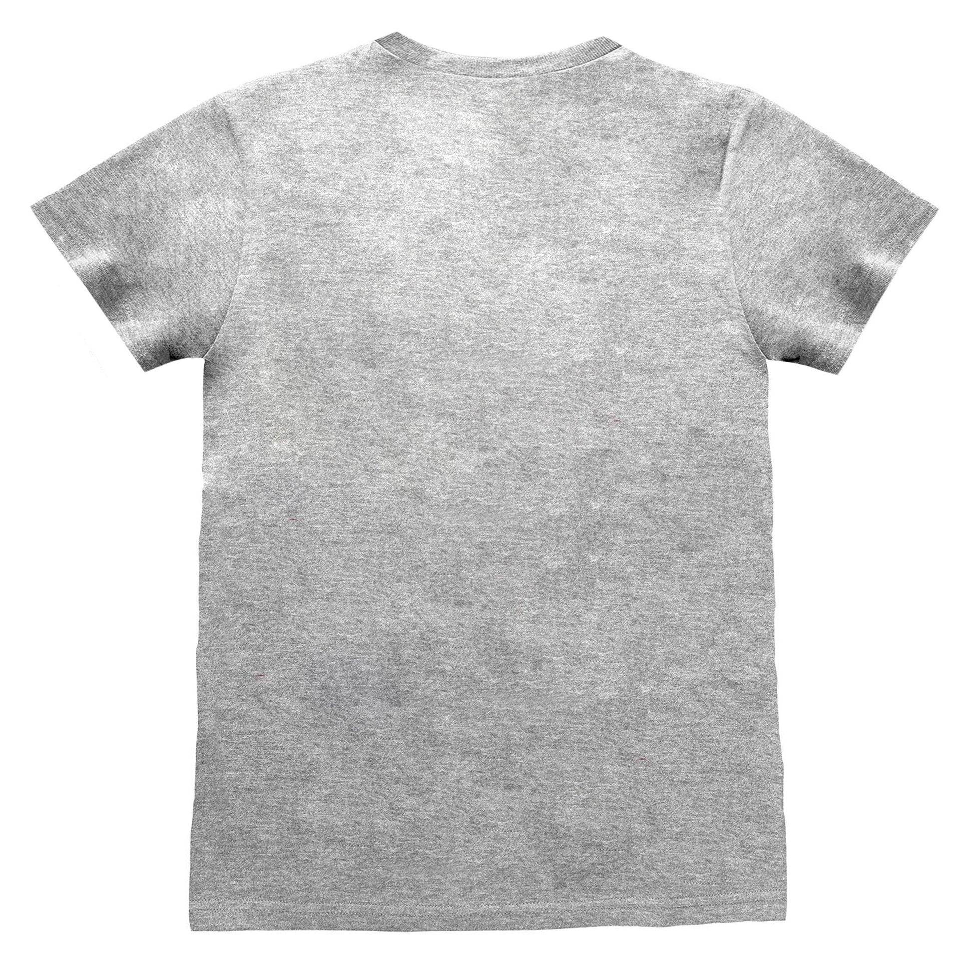 Grey Heather - Back - Nintendo Unisex Adult Legend Of Zelda Shield T-Shirt